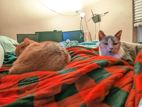 In honor of Molly Dec 24, 2025