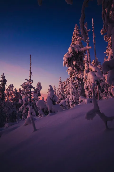 Calm Last Light of A Winter's Day, Lapland, Finland [OC] (1260x1891)