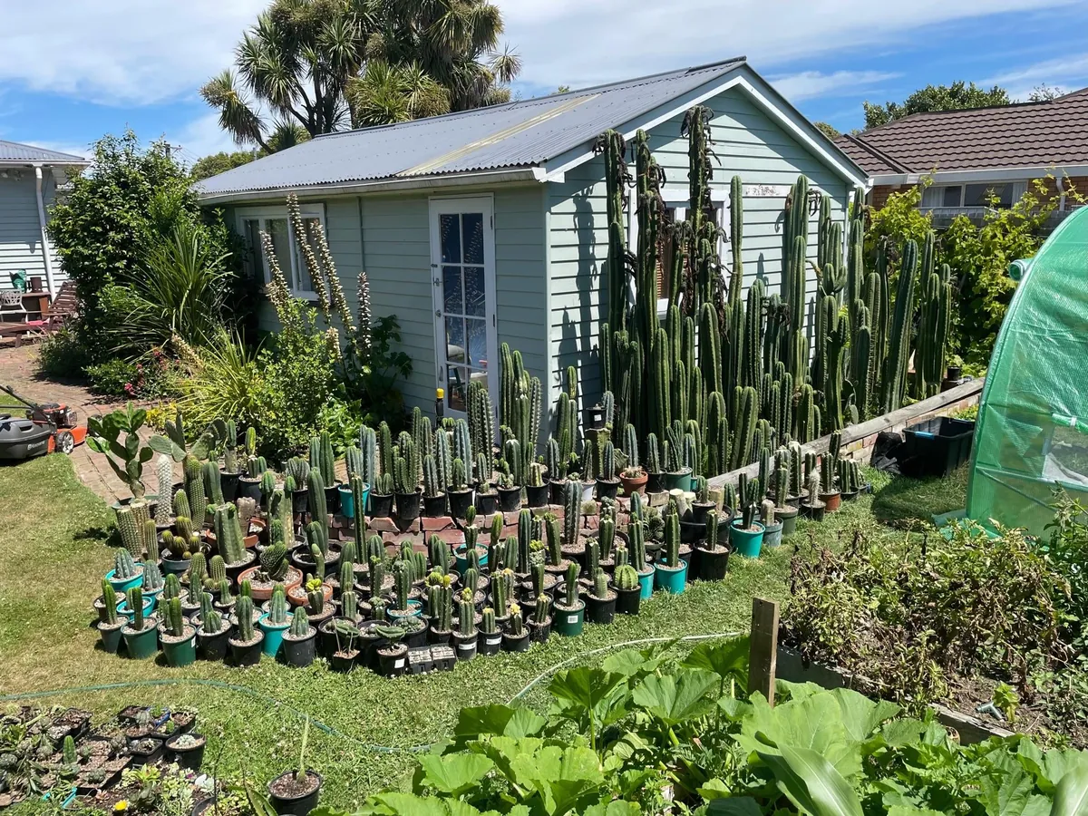 A bit unhinged, yes, but swipe for the flowers