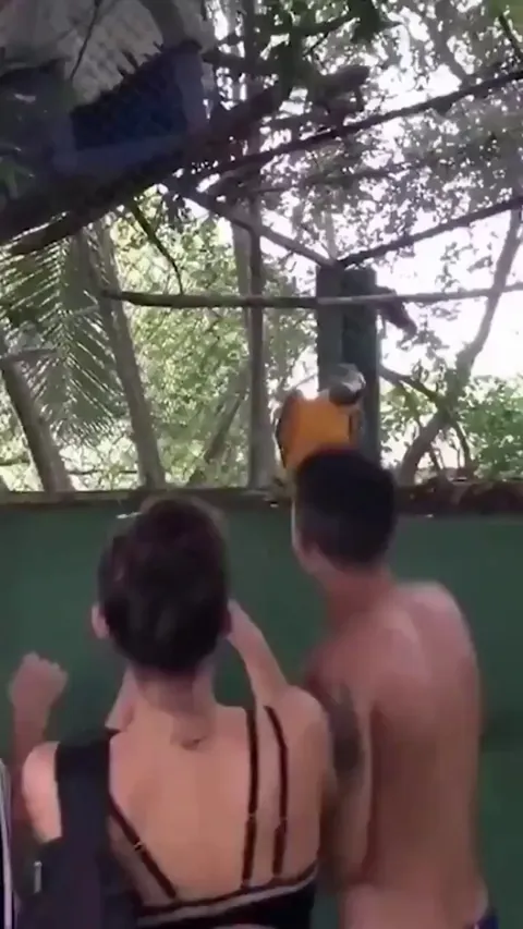 The moment parrot stops before drop got me laughing so hard 😂