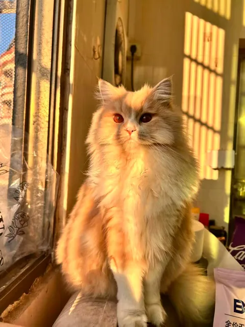 Say hi to our sweet pumpkin!