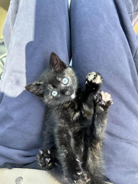 why does her butt smell so bad??