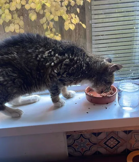 Tribute to my good mate Timmy. 19 years old, and today was his last.