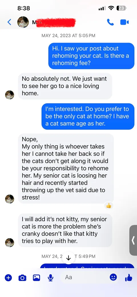 Update: I have the cat my student rehomed 3 years ago and thought had died.