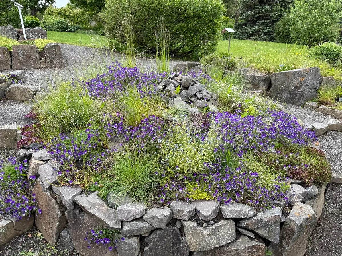 Visiting Iceland for a second time