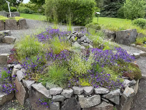 Visiting Iceland for a second time