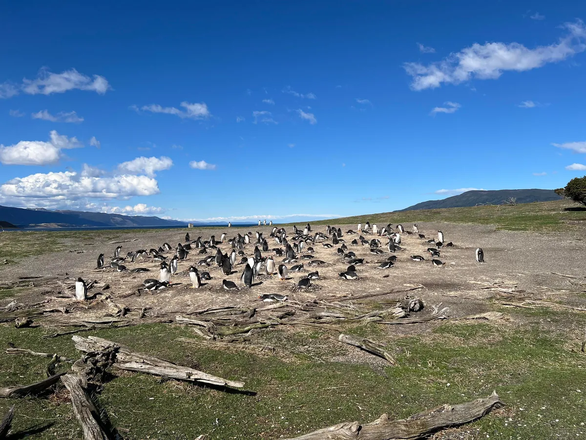 2 Weeks in Argentina - A Synopsis to Help Others