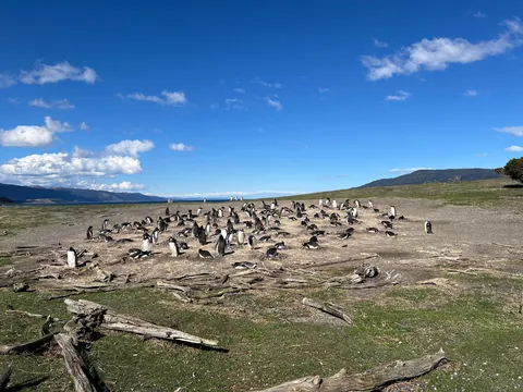 2 Weeks in Argentina - A Synopsis to Help Others