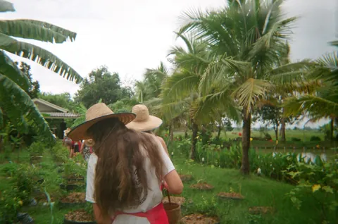 Thailand June/July 2025 captured on a disposable film camera