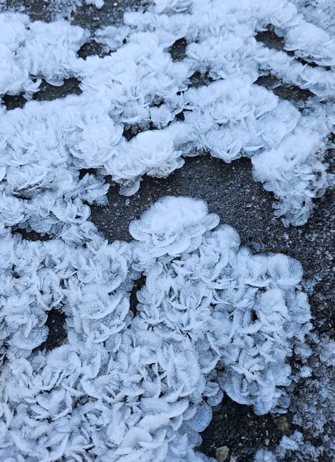 The snow froze like flowers in the parking lot