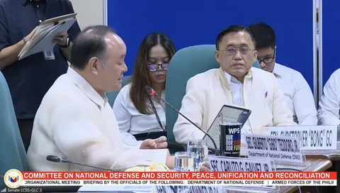 Chinese sycophants Bong Go and Bato being members of Defense Committee is a huge red flag