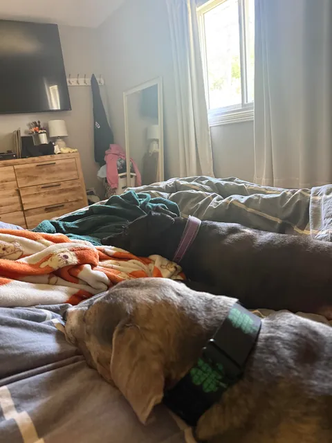 Last Waffles update for today. Cozy and calm after a big day.