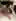 Swipe to unlock