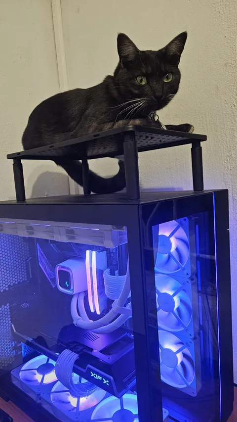 Figured out how to keep the queen happy and the PC cool
