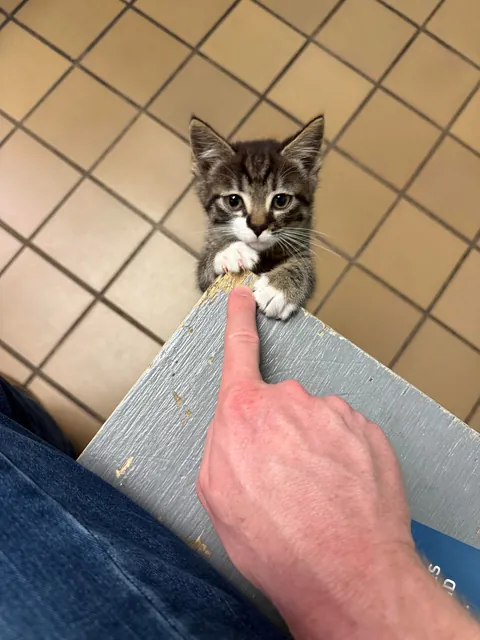 This is my little boy, Nanaki