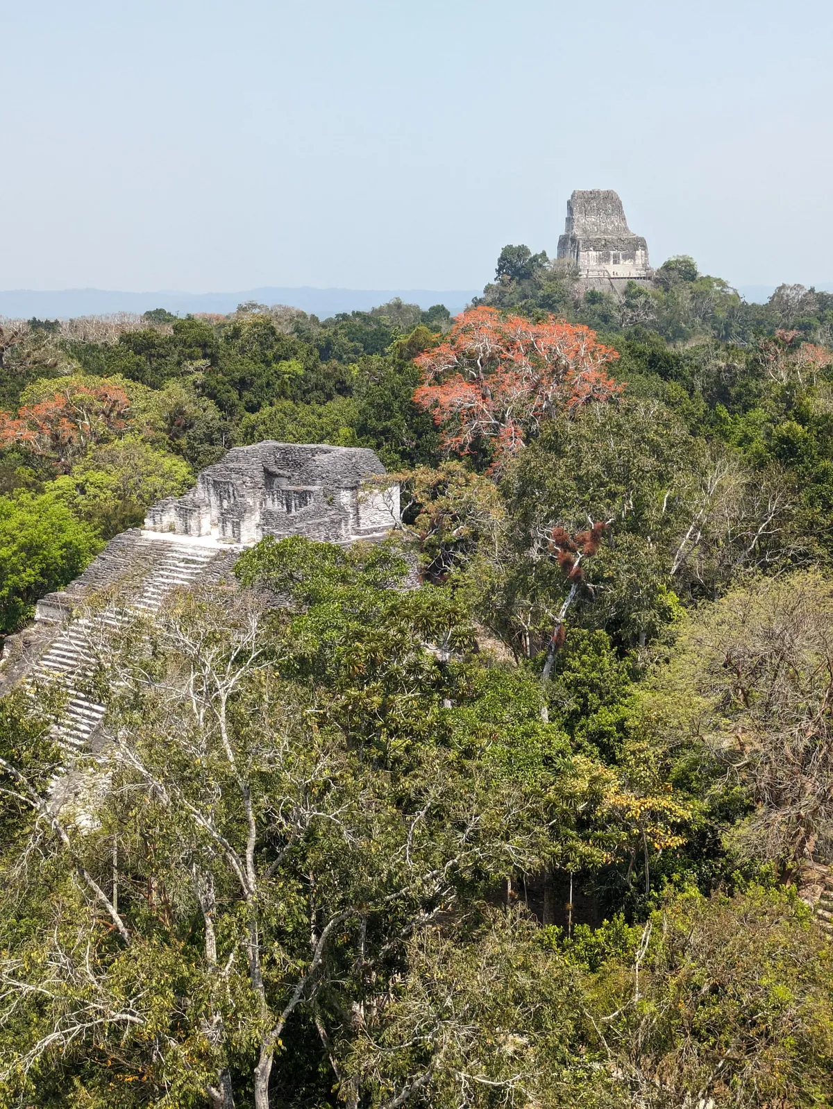 One Year in Latin America, Mexico to Patagonia