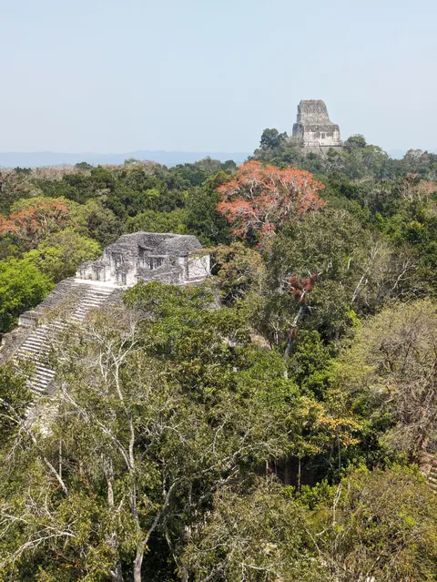 One Year in Latin America, Mexico to Patagonia
