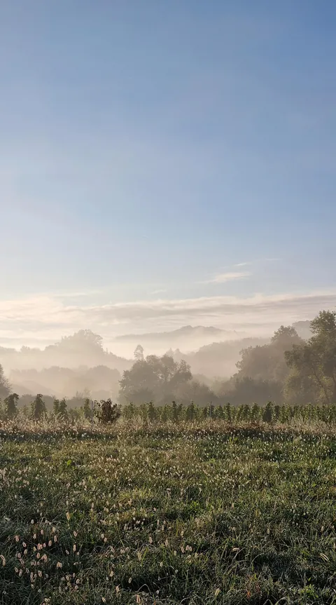 Walking the Camino from Irun to Bilbao