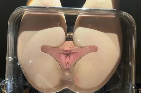 7.5 inches of labia and a clear chair make for great fun