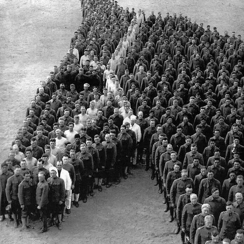 World War I Soldiers Paying Tribute To The 8 Million Donkeys, Horses, And Mules That Passed Away In The War