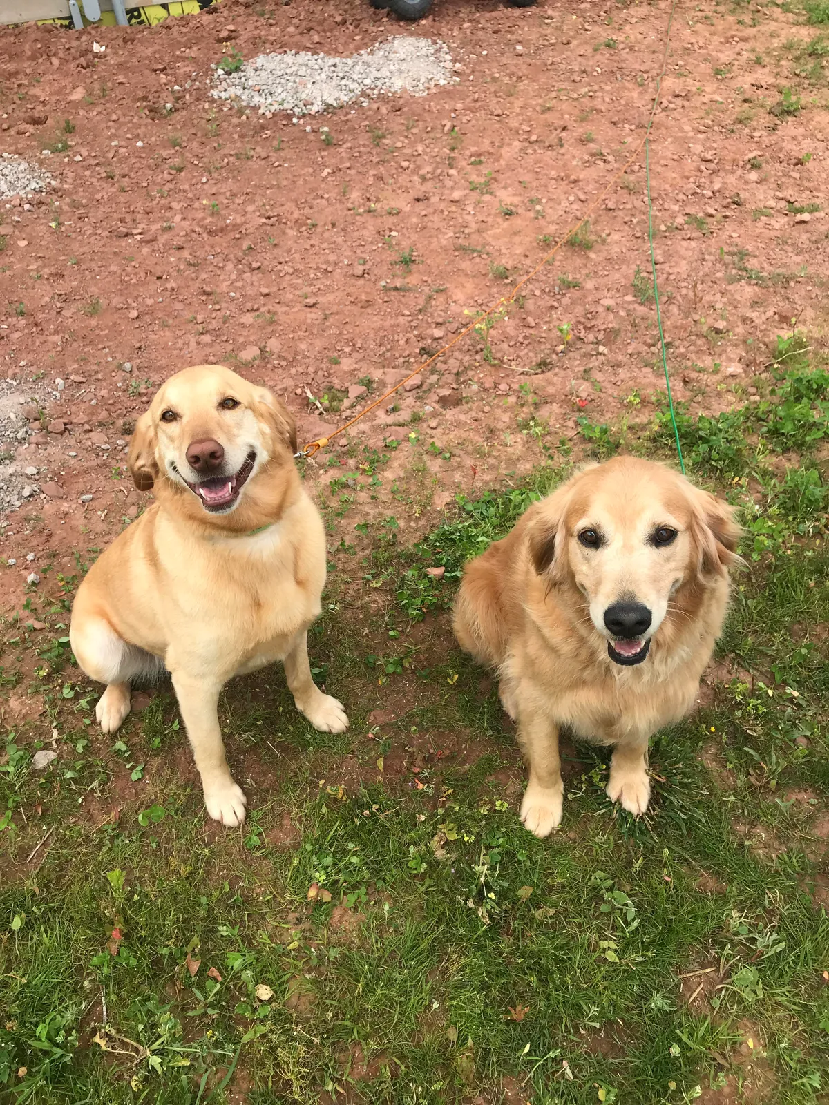 Our Air B&amp;B came with a bonus feature. Affectionately dubbed “ The Golden Girls”