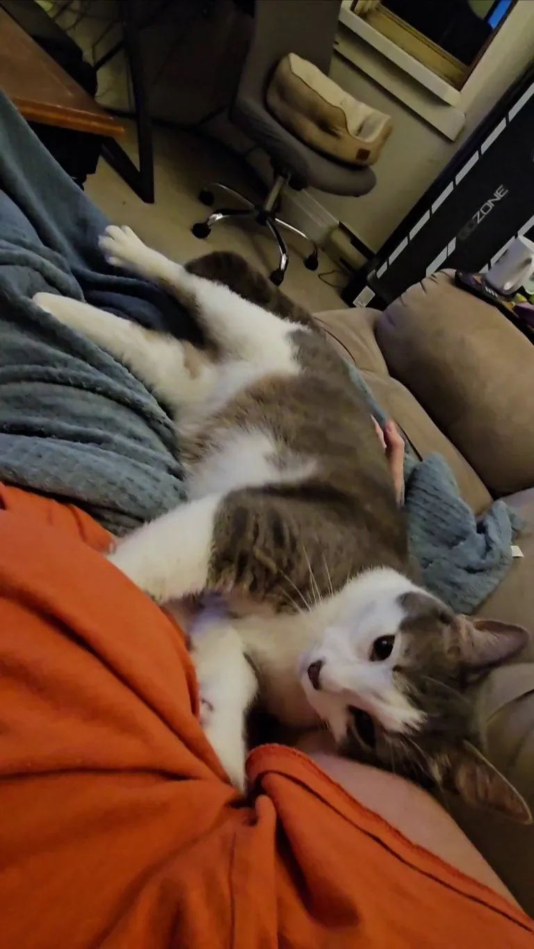 He thinks I'm his mom 