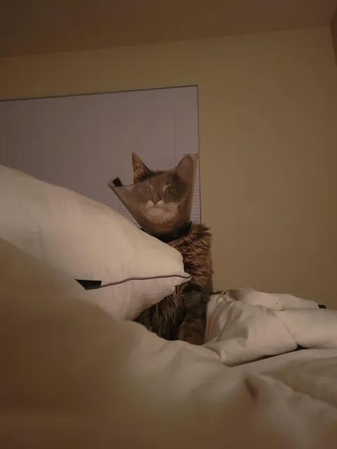 "You won't want to deal with it"