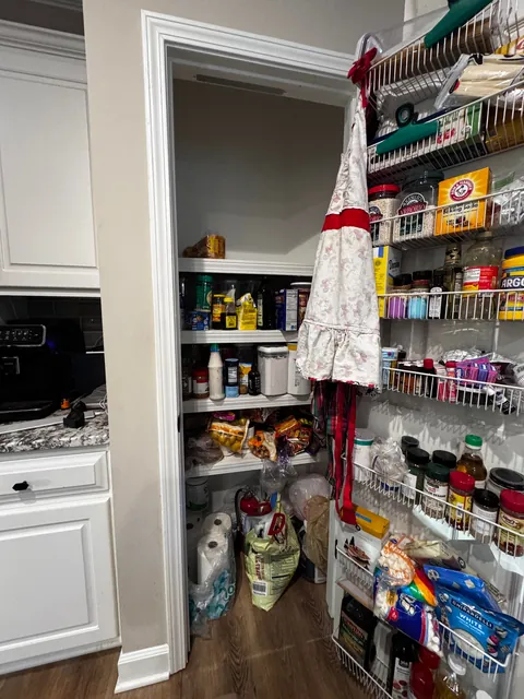Second big home project! Gutted our old pantry closet