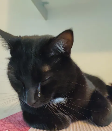 He found me crying . He crew too . We both crode 😭 aka I told him to stay away from the kitchen while I make french onion soup