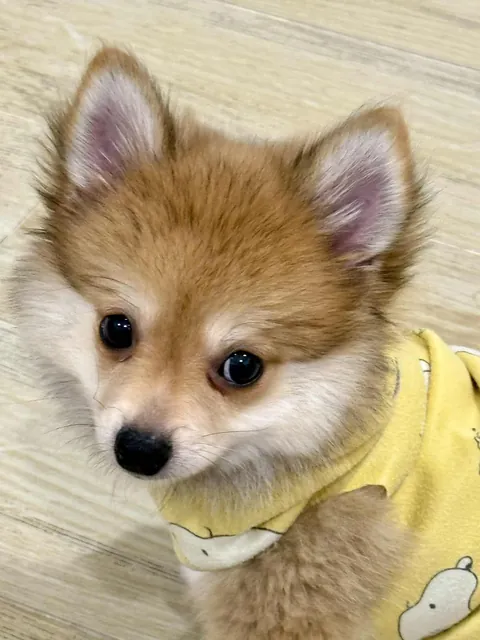 Pictures of Coco my mom took