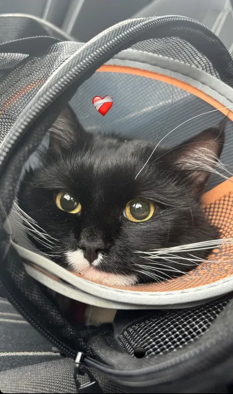 surgery went well 🫶🏼