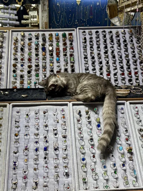 On a street in Istanbul… The hardest working treasure custodian