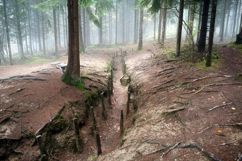 WWI trench in France's Red Zone, or "Zone Rouge". Large swathes of the Western Front were declared uninhabitable no go zones after the First World War, and highly toxic environments remain. But for much of the Red Zone, the land has recovered its natural life. [1024x680]