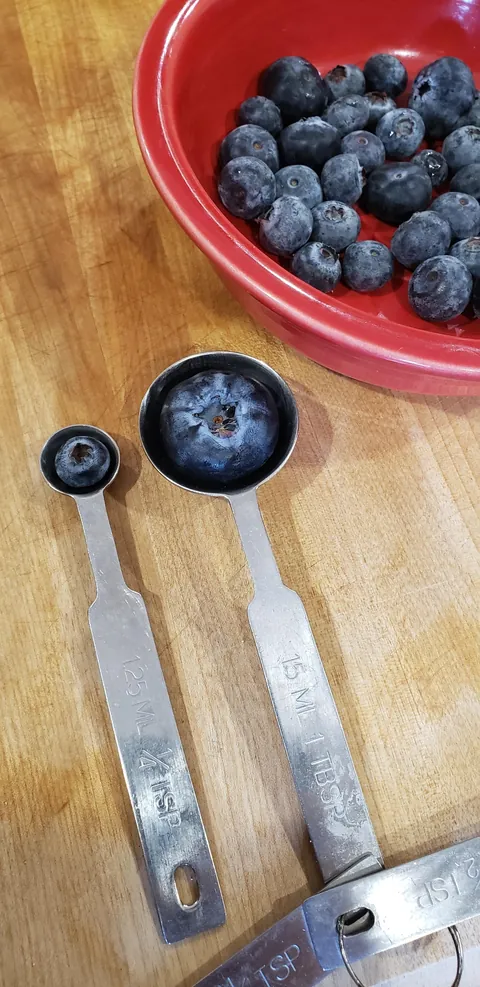 The biggest Blueberry I've ever seen. [Produce]