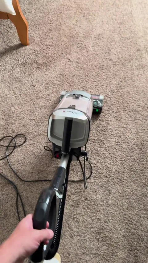 My cat when I vacuum [OC]