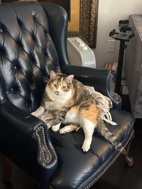 I swear she’s not this fat she just sits funny 😭😭😭