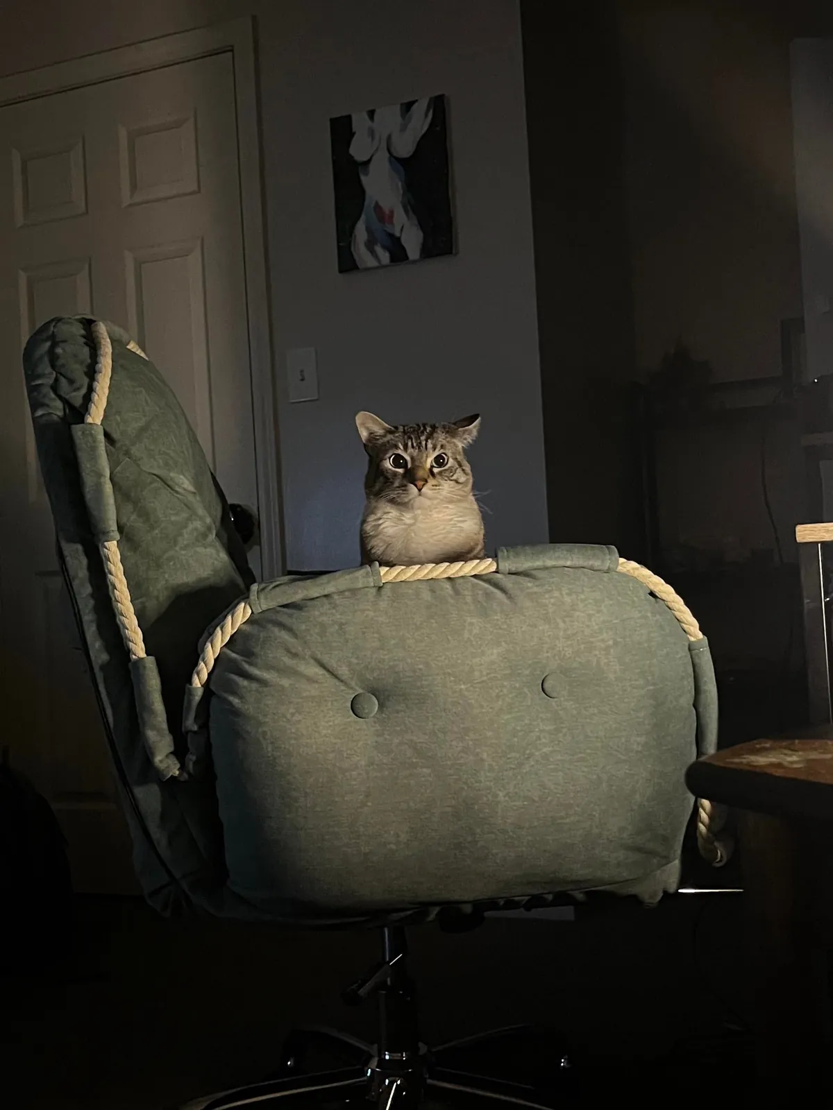 Woke up at 2 am and rolled over…