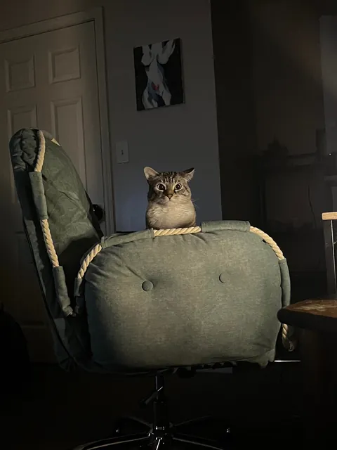 Woke up at 2 am and rolled over…