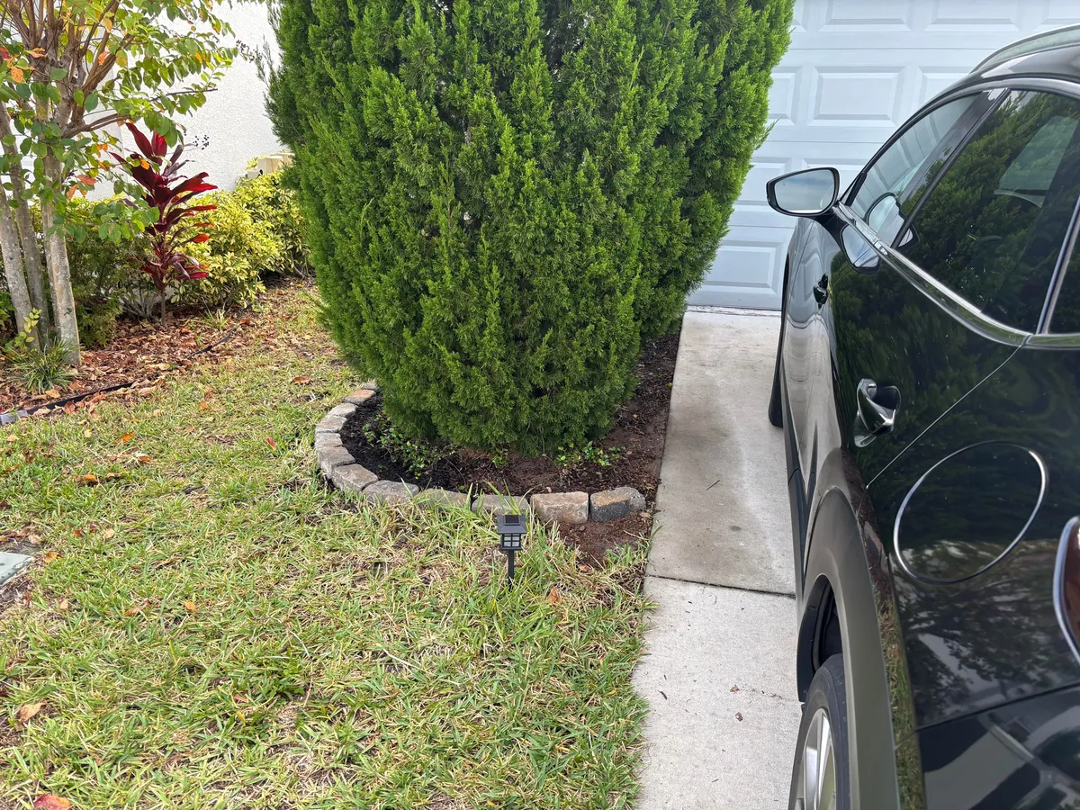 A whole day spent gardening. Before and after!