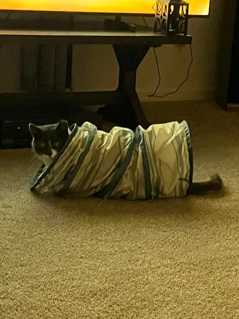 Every single night….