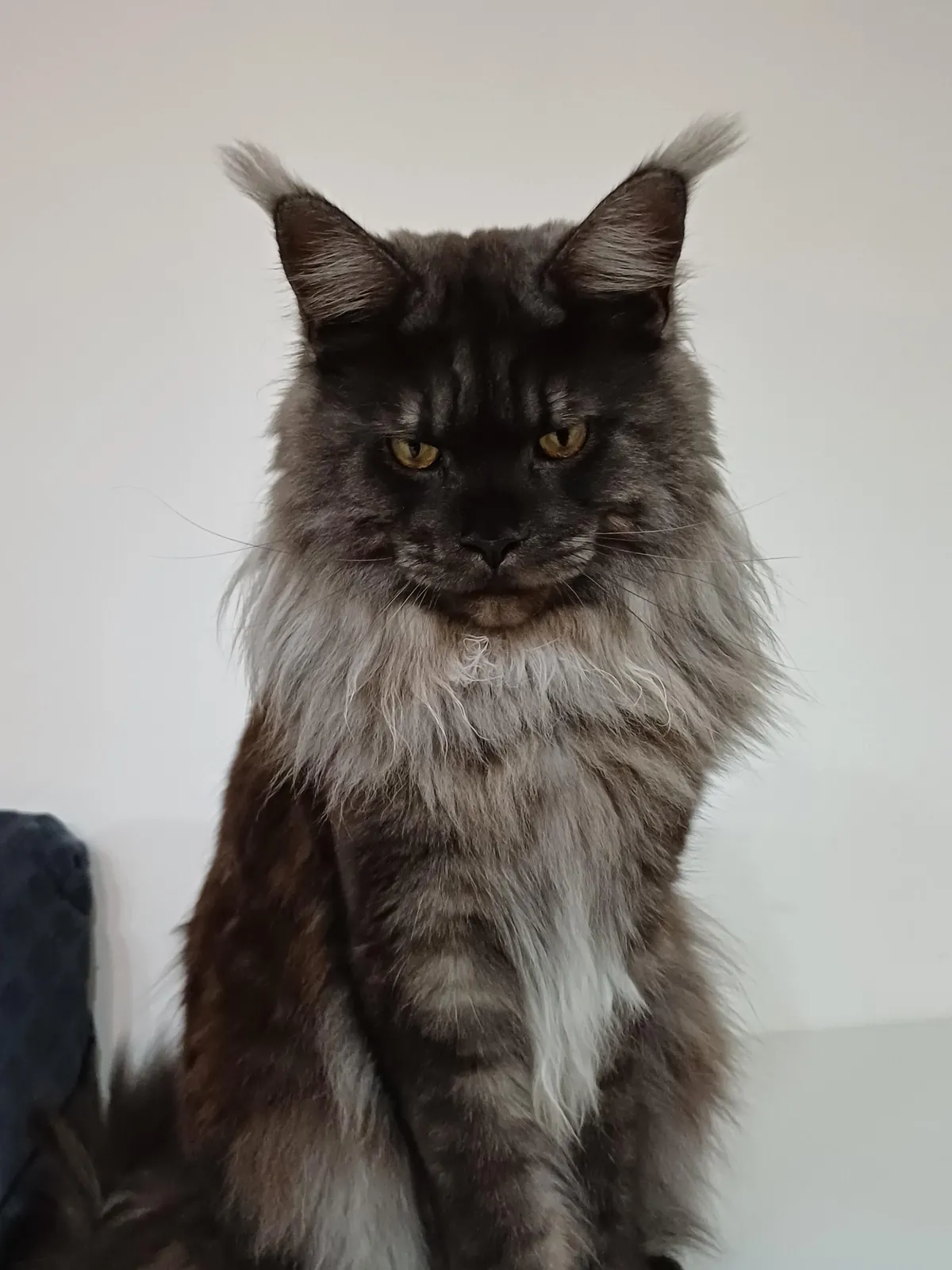 Hi reddit, it's Théoden. Did not see you for a long time