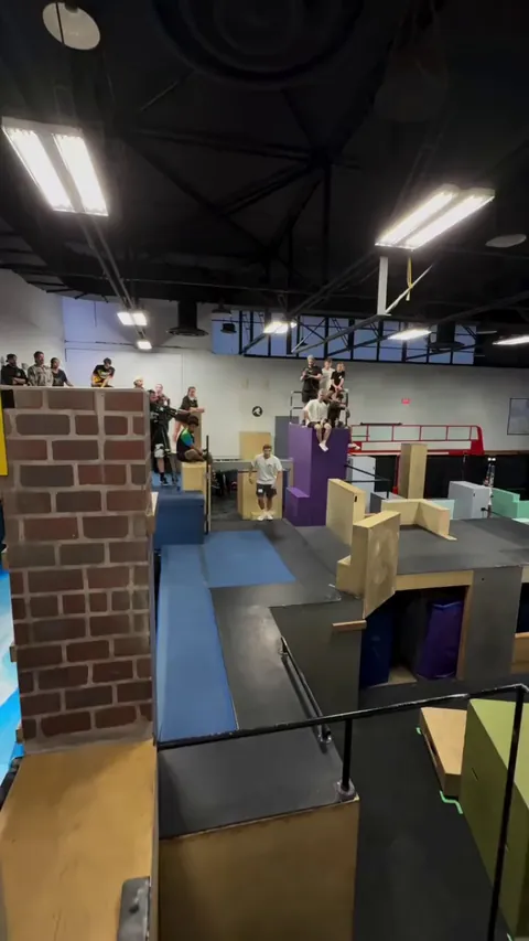 Incredible acrobatics. I wonder how long it took him to get there.