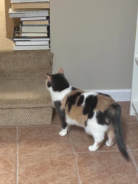 I asked this bookstore employee where the film book section was moved to