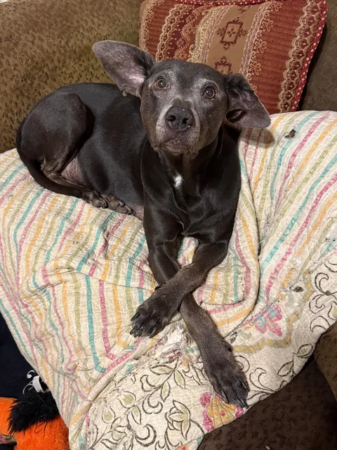 My momma says that I’m the babiest of all the baby boys.