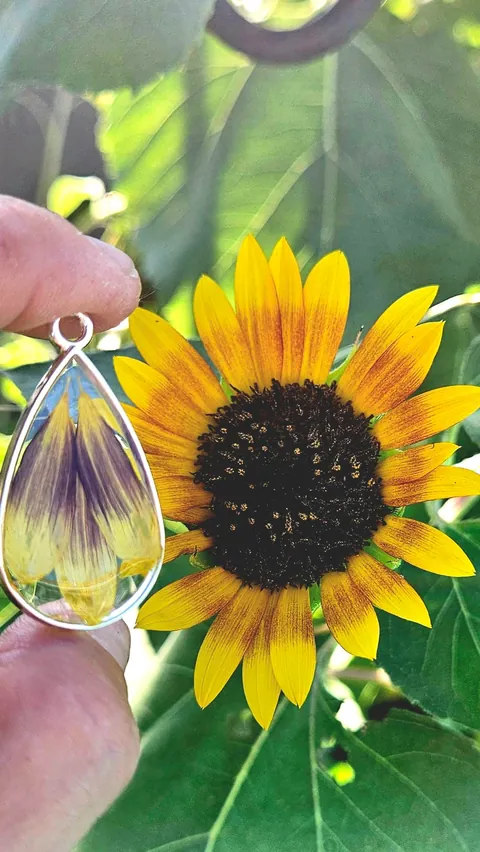 Preserving my flowers to make charms 🫶🌻💐