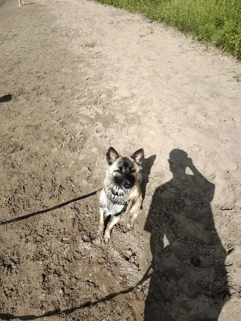 Benny is 1 year old today!