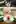 Cursed Doll [M/F] (Dagasi)