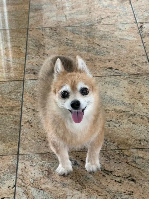 Got to see puff pastry again 😍