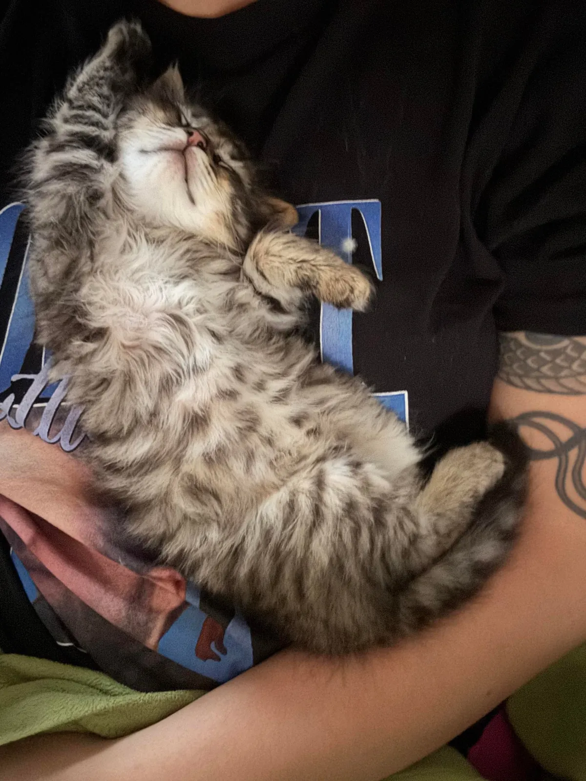 His name is Wilfred and he just stole my entire family’s hearts