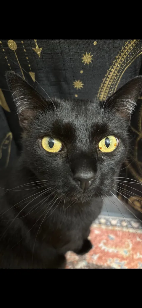 My boy has a tiny heart in his eye. ♥️